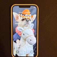 iPhone 12 Pro Max 256 GB - Gold