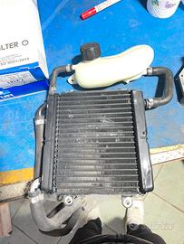 radiatore aerox 50