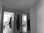 Immagine 9