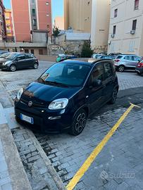 Panda hybrid city life