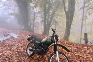 splendida Yamaha XT 550