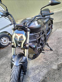 Benelli 502c cruiser