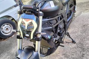 Benelli 502c cruiser