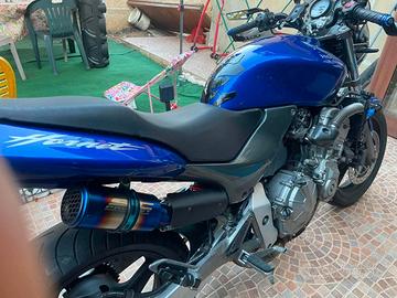 Honda Hornet 