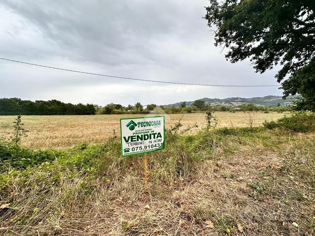 TER. AGRICOLO A GUALDO TADINO