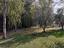 Immagine 25