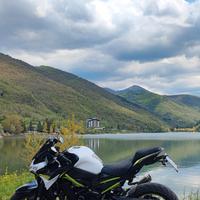 Kawasaki Z900 MY 2020