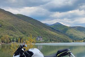 Kawasaki Z900 MY 2020