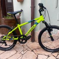 Mtb misura 20