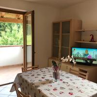 Trilocale di fronte alle piste della Paganella