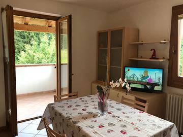 Trilocale di fronte alle piste della Paganella
