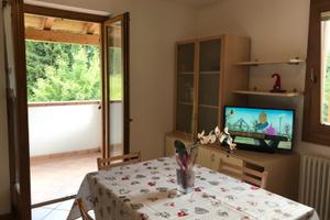 Trilocale di fronte alle piste della Paganella