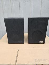 Diffusori Bose Interaudio XL 1000  			