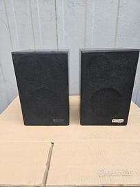 Diffusori Bose Interaudio XL 1000