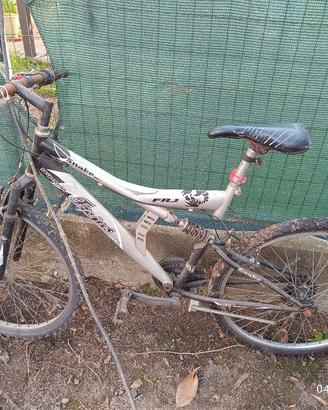 bici mountain bike