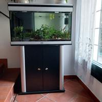 acquario aquatlantis 