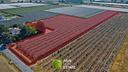 impianto-kiwi-giallo-2-ha-fronte-strada-con-pozzo