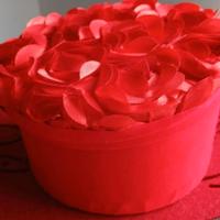 scatola in camoscio rossa con petali 