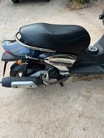 Benelli velvet