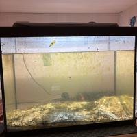 acquario 70 litri con filtro