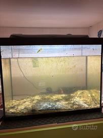 acquario 70 litri con filtro