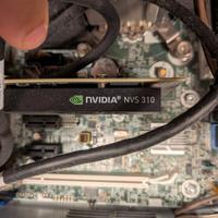NVIDIA nvs310 scheda video