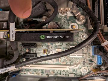 NVIDIA nvs310 scheda video