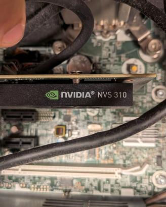 NVIDIA nvs310 scheda video