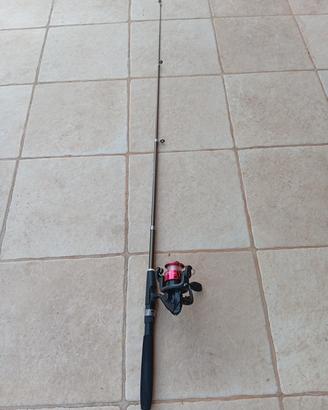 canna da pesca