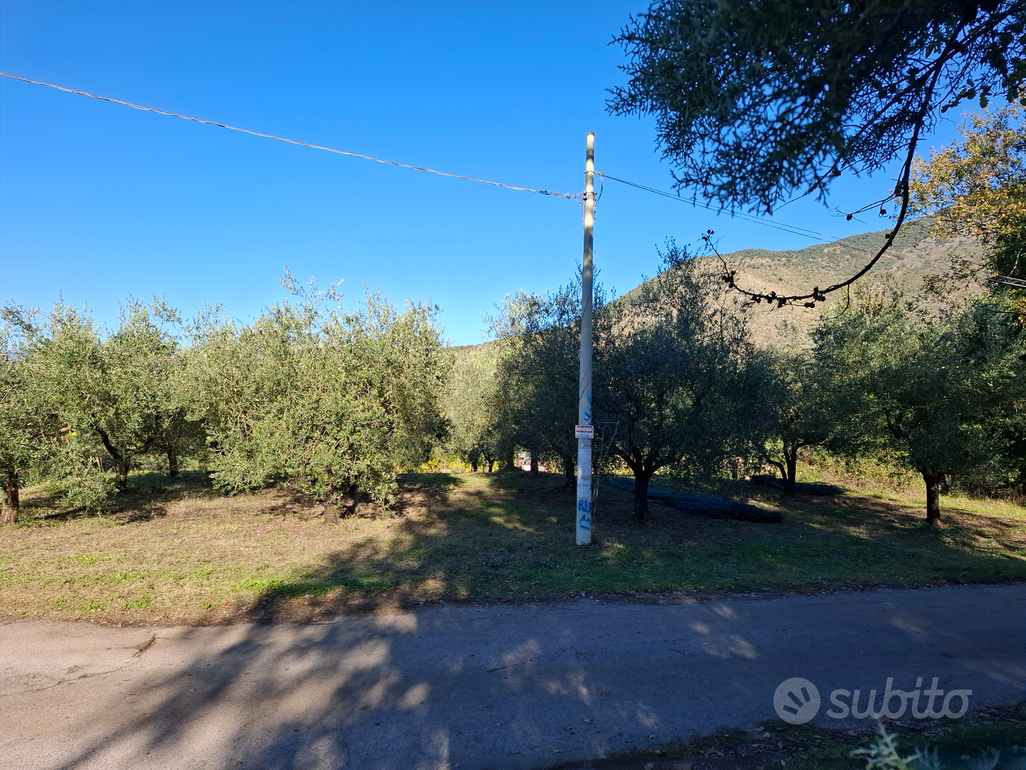 Terreno con vigna e uliveto - Vista 2
