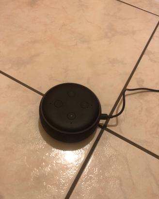 Alexa Echo Dot