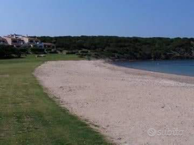 Porto Cervo/Cala del Faro bilocale giardino