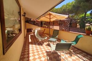 Grazioso con ampio terrazzo