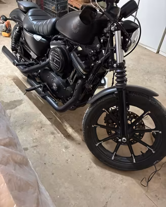 harley davidson 883