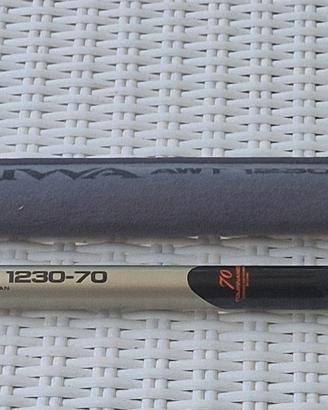 Canna fissa Daiwa AWT1230-70 7 mt 