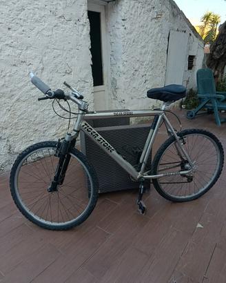 Tiger stone bici 