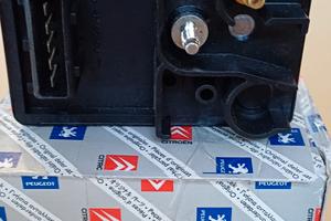 centralina candelette bosch Citroën peugeot 