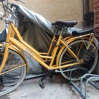 biciclette doniselli olanda