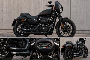 HARLEY DAVIDSON IRON 883 SPECIAL EDITION ITALIA
