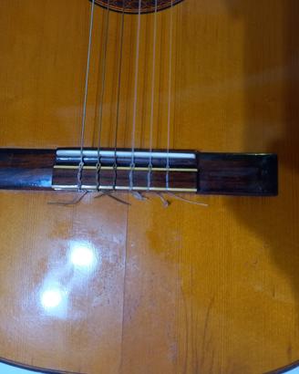 Chitarra Classica Di Giorgio 1979
