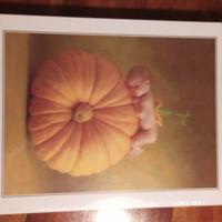 Puzzle 900 pezzi Anne Geddes 