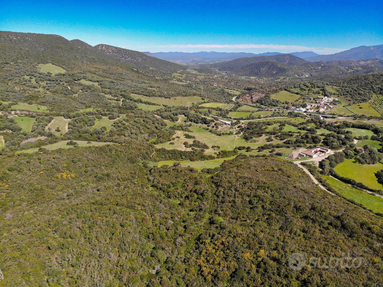 Pascolo a Teulada - Vista 4