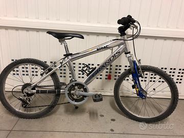 Mountain bike Grandis ruote 22”
