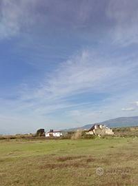 Terreno con CAPANNONE agricoli