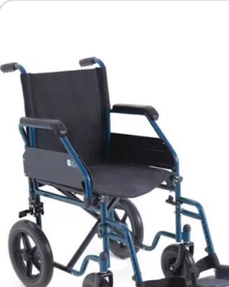 Sedia a rotelle