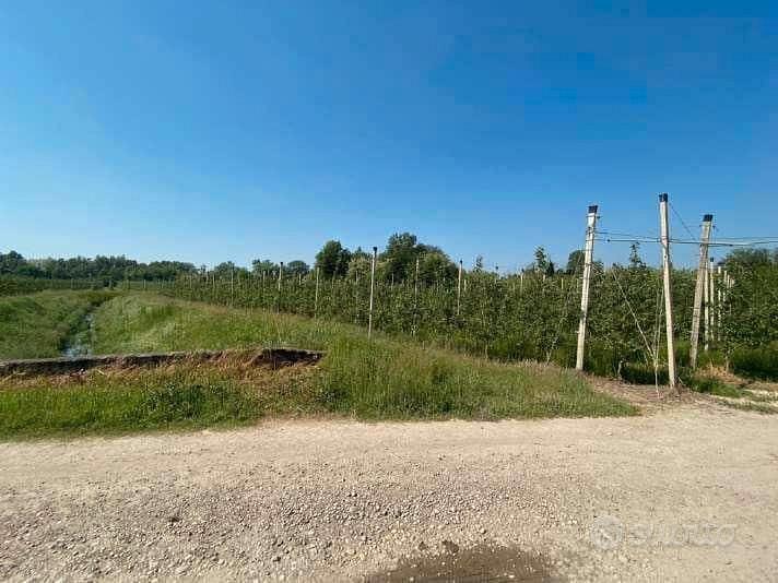RGE 133/2022 Tribunale Verona Lotto 2) - Vista 2