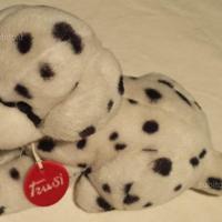 Dalmata Trudi morbidissimo, perfetto
