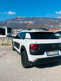 citrone C4 Cactus