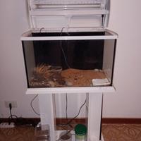 acquario tetra 60 LT 