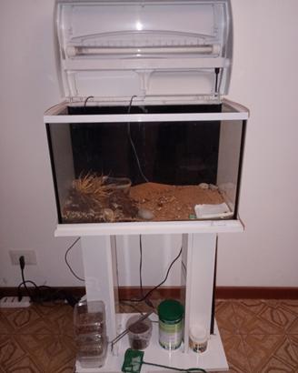acquario tetra 60 LT 